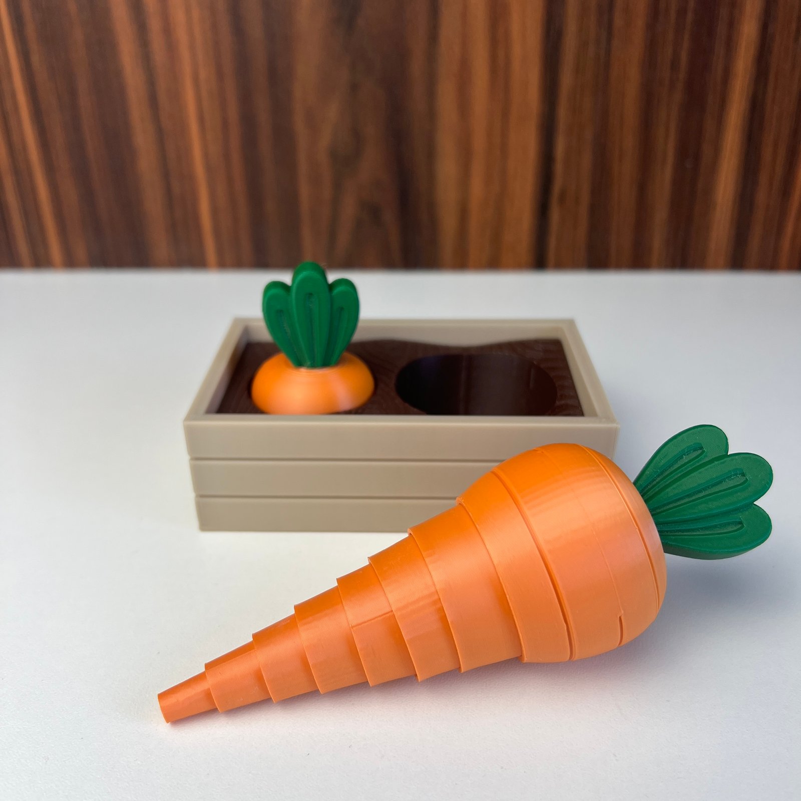 Horta de Cenouras Sensorial (com 2 Cenouras)